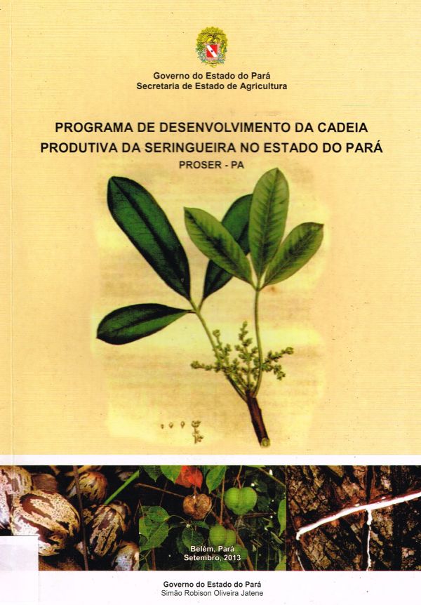 Programa de Desenvolvimento da Cadeia Produtiva da Seringueira no Estado do Pará - 630 OLI